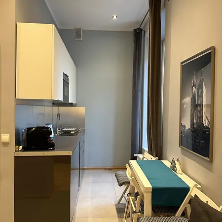 Superb Wawel Apartment, Best Location In Town 26m2 P1 公寓 克拉科夫